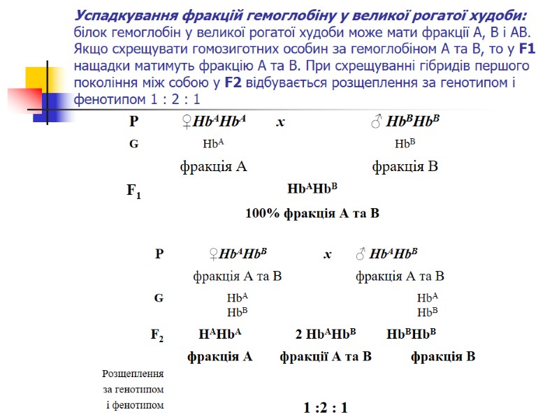 Успадкування фракцій гемоглобіну у великої рогатої худоби:  білок гемоглобін у великої рогатої худоби